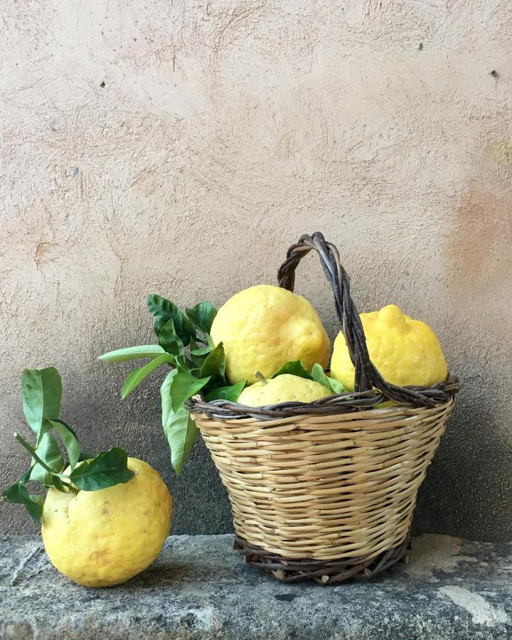 Masseria Caretti Grande カサラベート エクステリア 写真